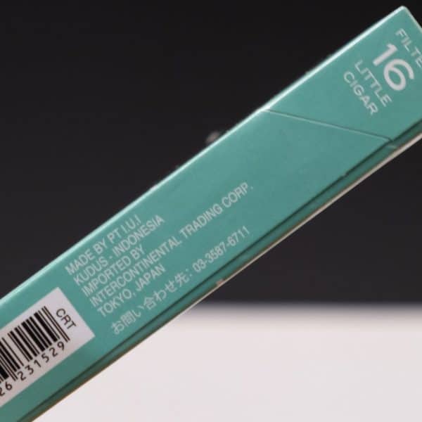FORTE MENTHOL (Bạc Hà) - Ảnh 6